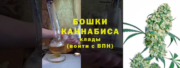 шишки Алексеевка