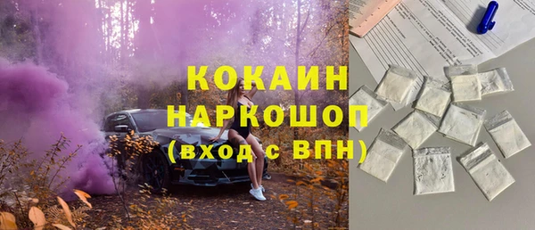 шишки Алексеевка