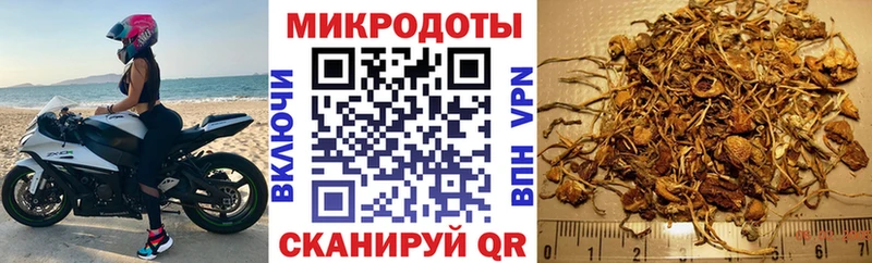 Галлюциногенные грибы Cubensis МЕГА зеркало Билибино